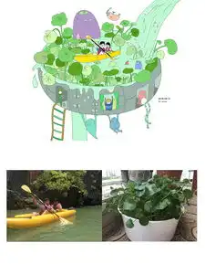 泛舟铜钱草池塘篇