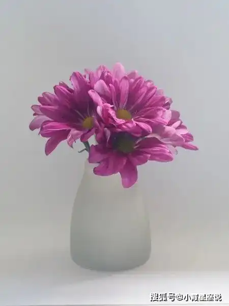 10月份,缘分桃花看得透彻,收获真爱,邂逅伴侣的四大生肖