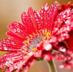 5月6号有横财出现,来喜又来财,收入大增,收获颇丰的3生肖