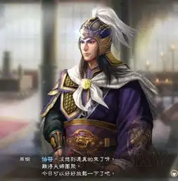 三国志11里面统智高,武力不高的武将该怎么价值最大化