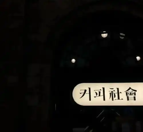 网易云音乐热评只因那时年少,总把未来想的太好