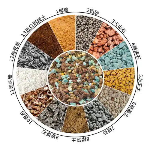 奥蕴多肉土专用营养土多肉植物专用颗粒营养土叶插老桩花土肉肉土