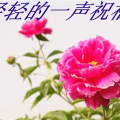 精选图片帖东明论坛第9页