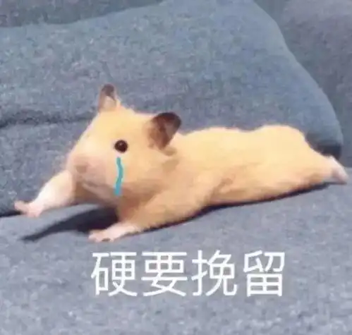 因为买了双鞋男友要分手截图看完爷拳头硬了