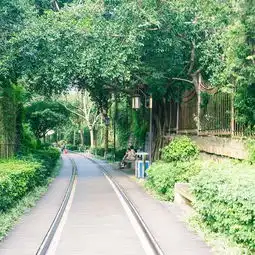 2017铁路文化公园旅游攻略门票地址游记点评,厦门旅游景点酒店购物美食推荐去哪儿攻略社区
