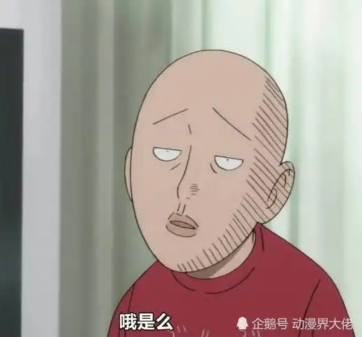 测试一个超长简介的文章