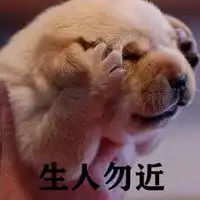 生人勿近四个字头像微信头像图片大全