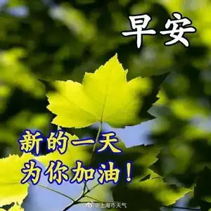 今日天气