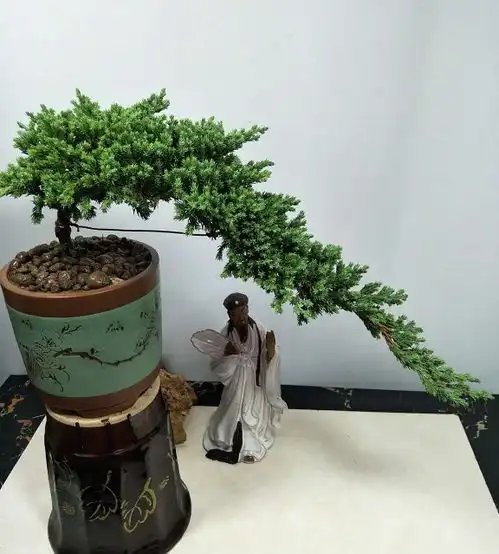 盆景展会上,每盆都是师傅精心呵护,枝繁叶茂,造型古朴典雅