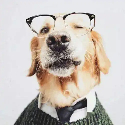 100张头像你要明白,太阳不是突然落山的