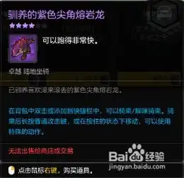 冒险岛2暗影币的使用