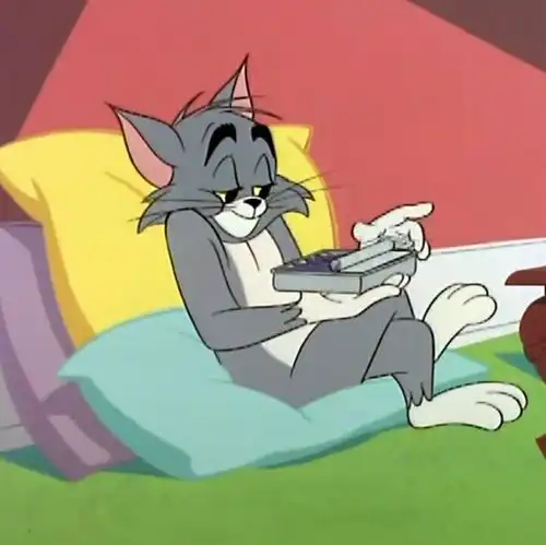 汤姆猫应该是那种猫