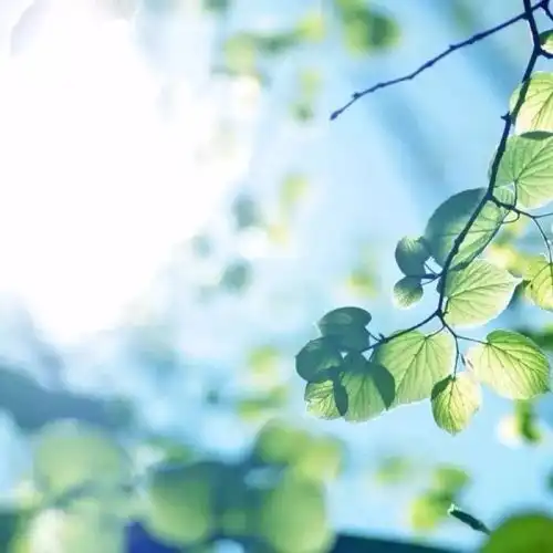 测试一个超长简介的文章