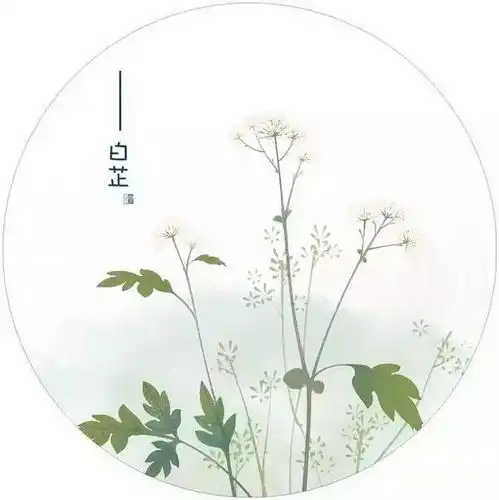 小树的心愿lesouhaitdunpetitarbre,走的每段路,都是一种领悟