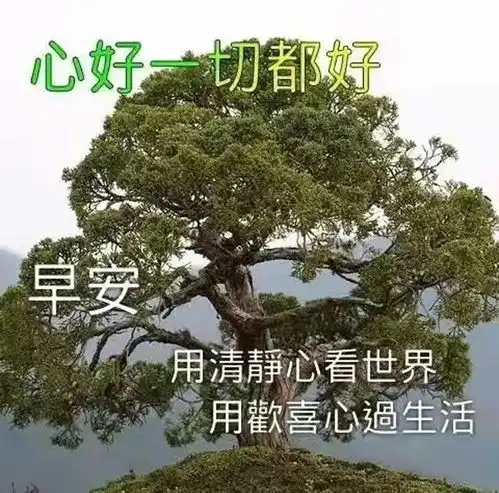 早安心语走自己的路,看自己的风景,生命是自己的,无须用他人的标准来框定自己的人生漫漫文摘人格网易订阅