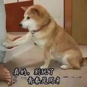 考前突击中级会计经济法必背法条合集