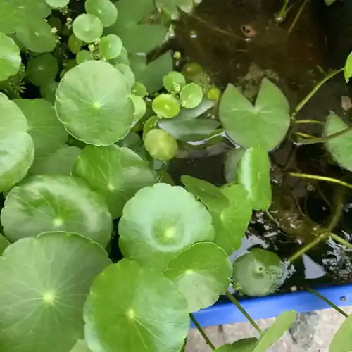 测试一个超长简介的文章