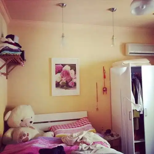 测试一个超长简介的文章