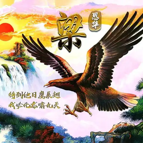微信头像,天道酬勤雄鹰展翅励志姓氏头像,天高地阔任我翔