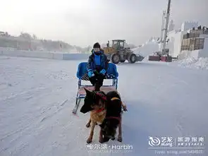 这个冬天去哈尔滨雪乡看雪,带你感受零下40度