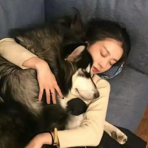 头像你可能不知道我有多想和你走到最后