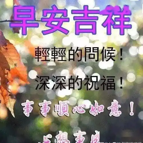 微信朋友圈特漂亮的早上好图片早上好问候句子