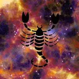 和12星座聊天别说这些,不然