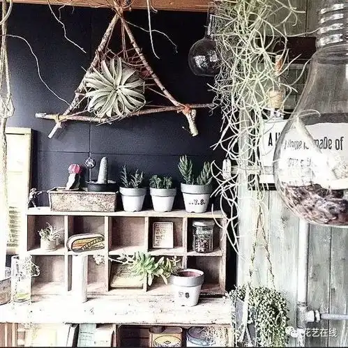 开一家解忧植物店,以此为生