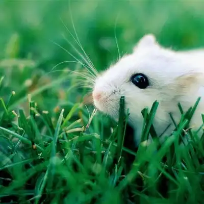 测试一个超长简介的文章