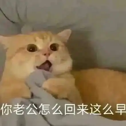 需要别人主动的星座,追ta时切忌玩欲擒故纵