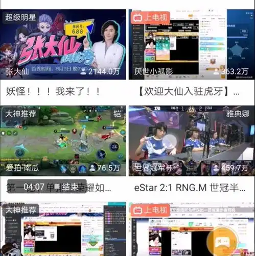 王者荣耀5小时订阅超过100万张大仙在虎牙首秀就创造了记录