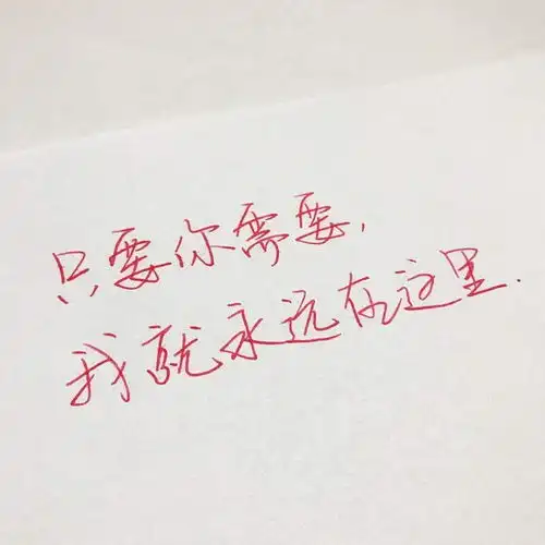 最后剩余7个席位给萌新
