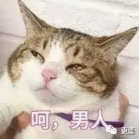 娜扎快成为第二个阿娇了,屡屡被爆亲密照是不检点还是被人恶意黑