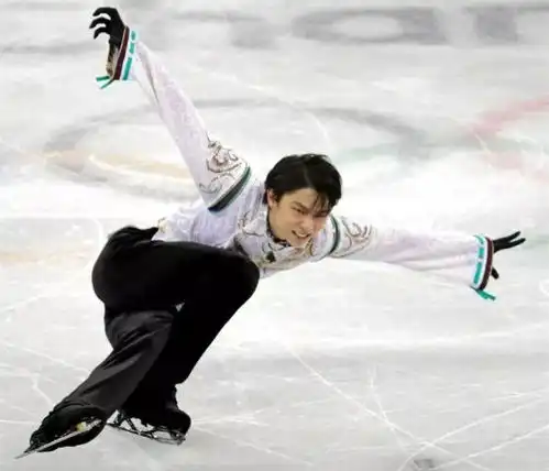 堵心的平昌冬奥会终于结束了,2022我们北京见