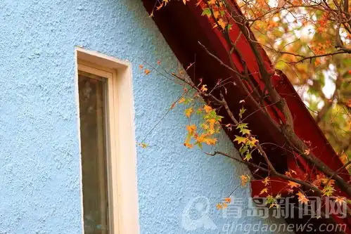 感恩这场秋雨,让八大关美得如此不同.......