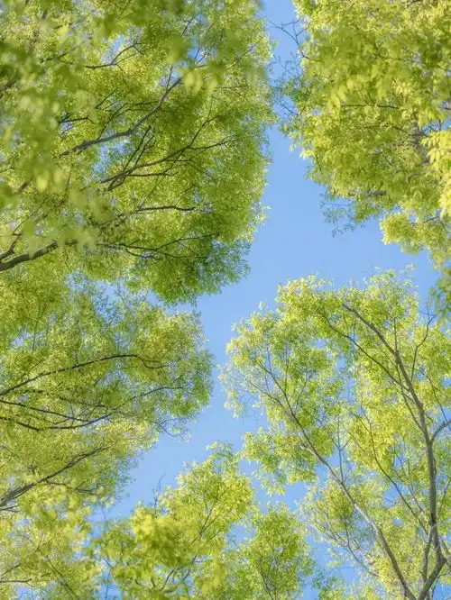 句句不提释怀,句句皆是释怀