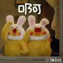 朋友圈爆火的两只小黄鸡鸡,是来自日本的鹦鹉有毒