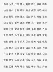 网名猫咪头像你是宝贝