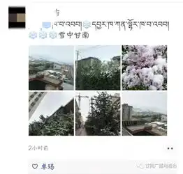 五月飘雪,朋友圈都刷爆了太太太美了
