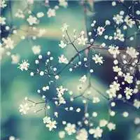 唯美好看满天星微信头像微信头像图片大全