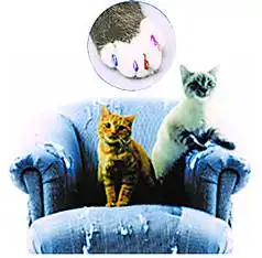 小猫爪套走俏日本