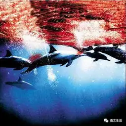 日本文化窥思录十六自私的日本人