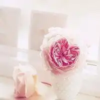安静唯美风景头像微信头像图片大全