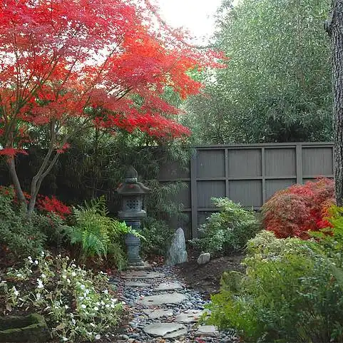 stanfordgarden