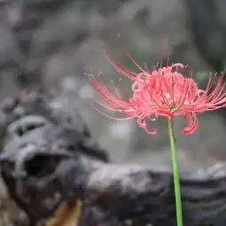 比聚光灯下的明星更迷人的是,路灯下等你的人