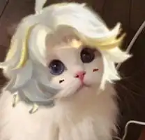 王者荣耀五岳猫咪头像大全