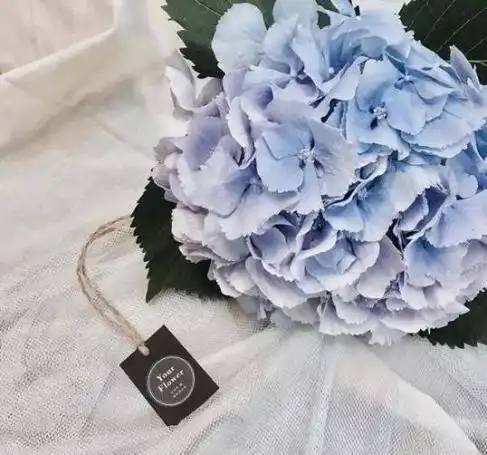 教你如何像老手一样,在花市选购花材