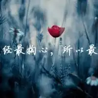 杰德缺点问题评论