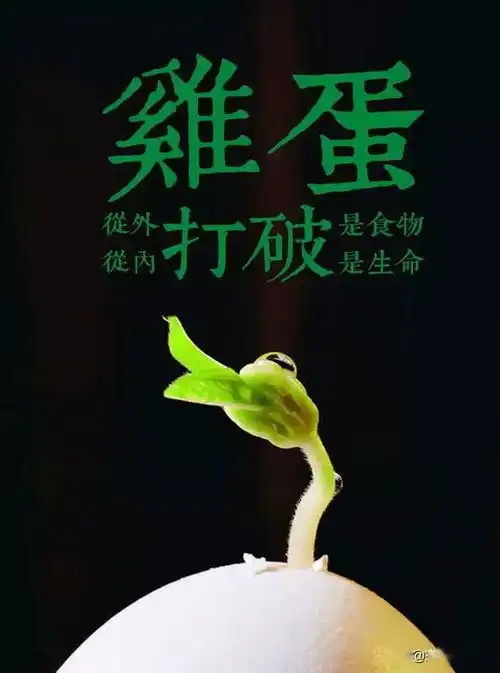 很适合清晨发朋友圈激励人心的短句子