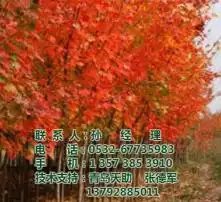 黄页88高清图片